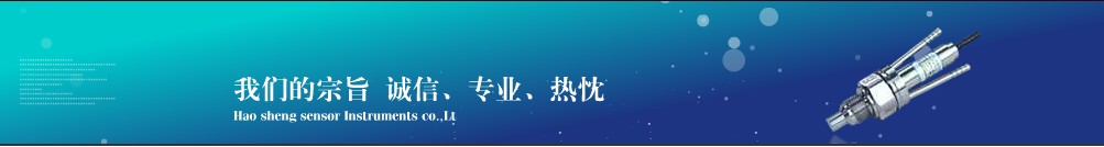 佛山市順德區(qū)昊勝傳感儀器有限公司