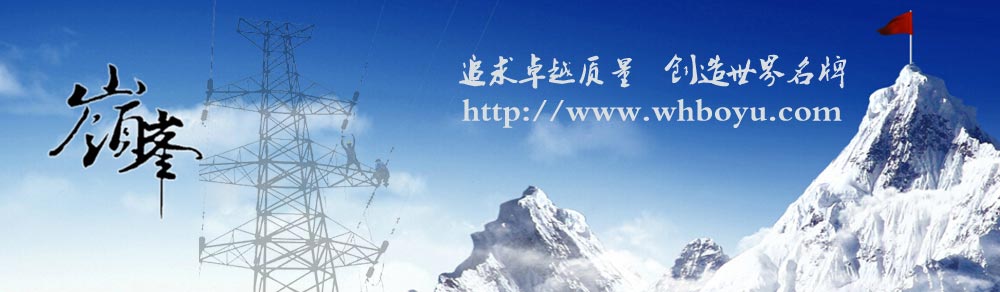 武漢博宇電力設(shè)備有限公司