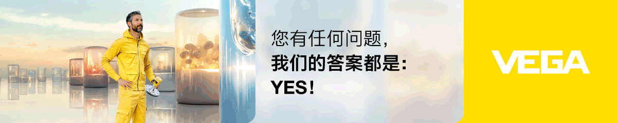威格（中國）儀表有限公司